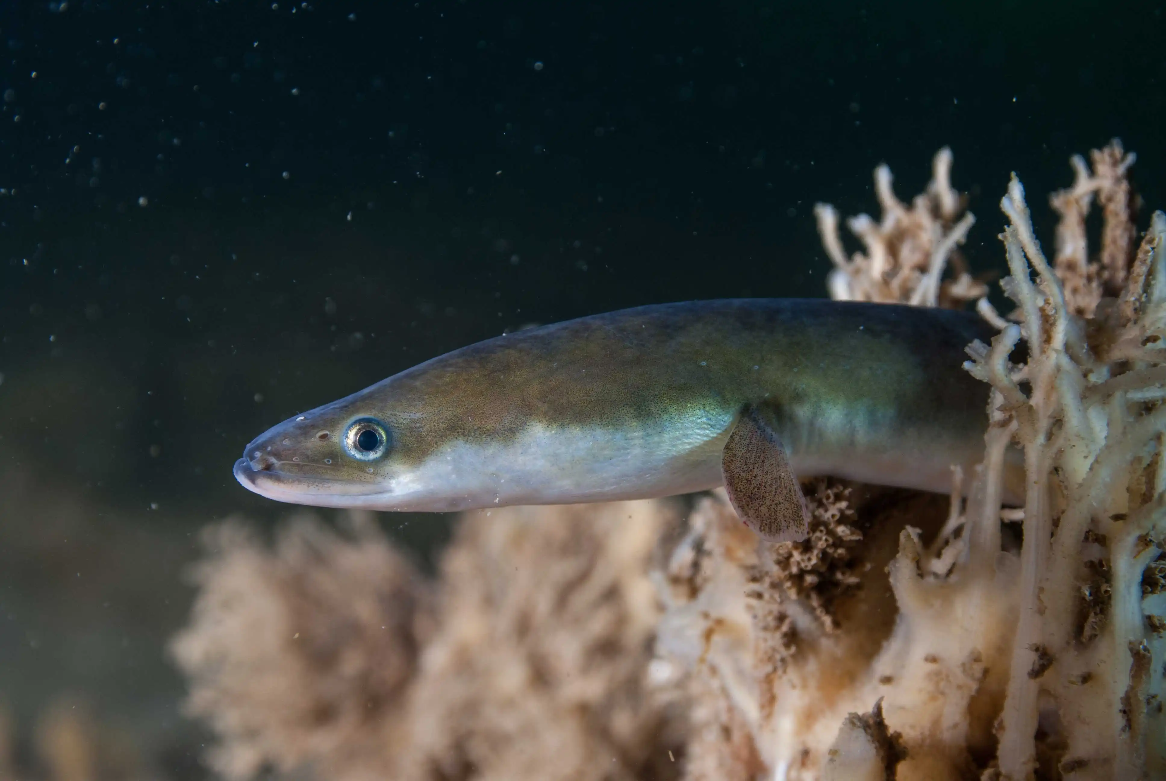 foto-original-izquierda