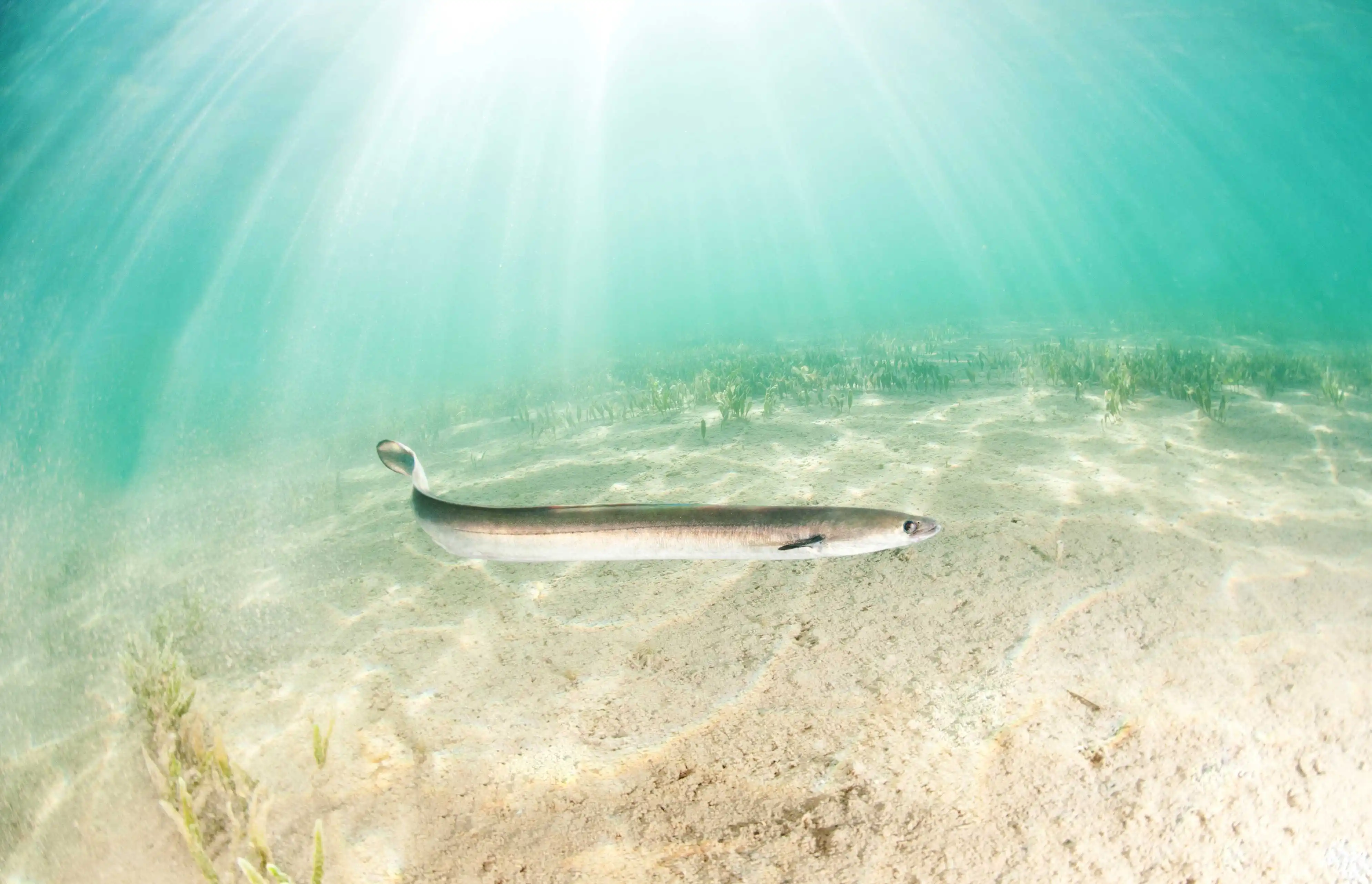 foto-original-derecha