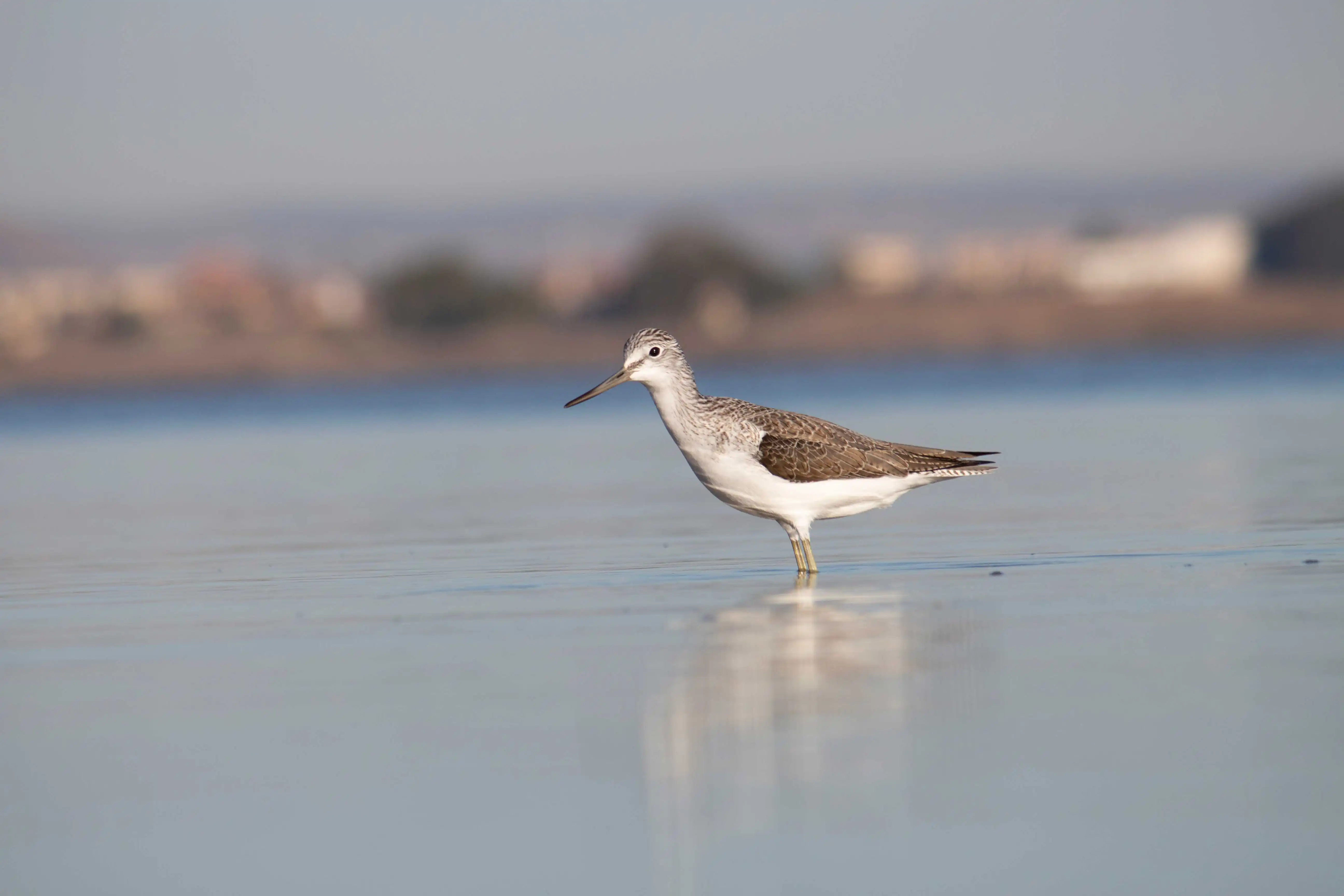 foto-original-izquierda