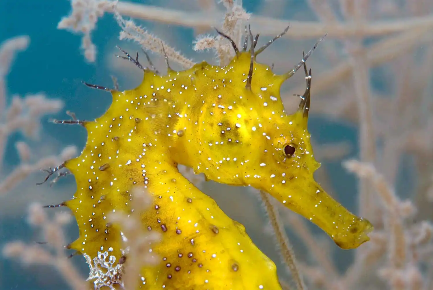 foto-original-izquierda