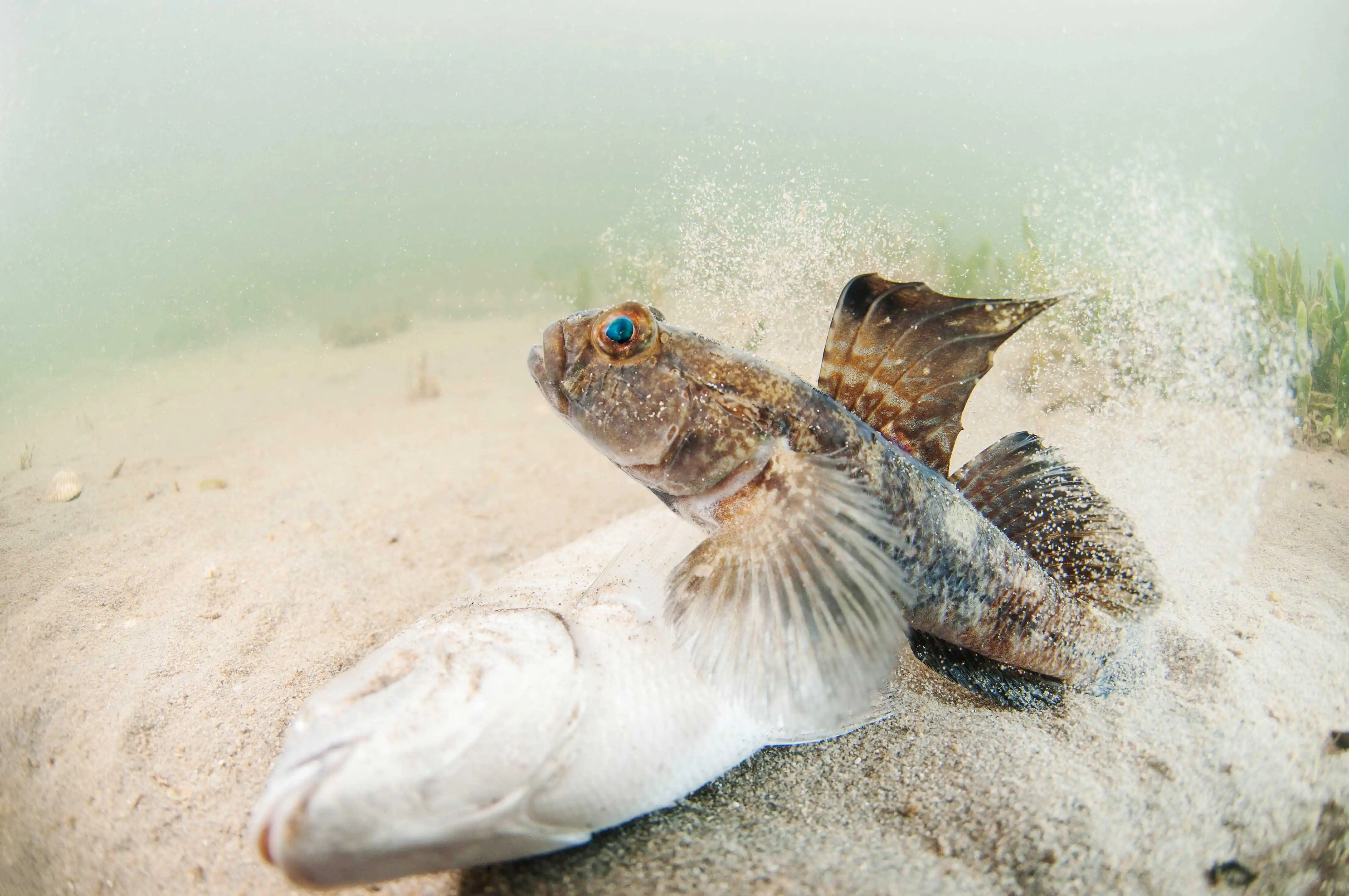 foto-original-derecha