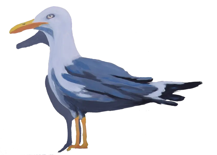 pintura-gaviotapataamarilla2